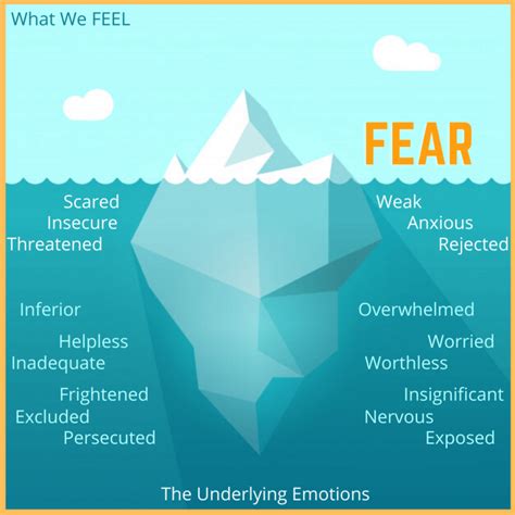 Unveiling the Underlying Emotions: Fear and Anxiety