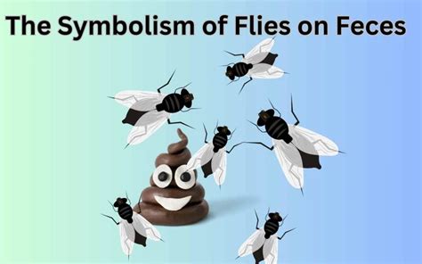 Unwanted Intruders: Decoding the Presence of Flies