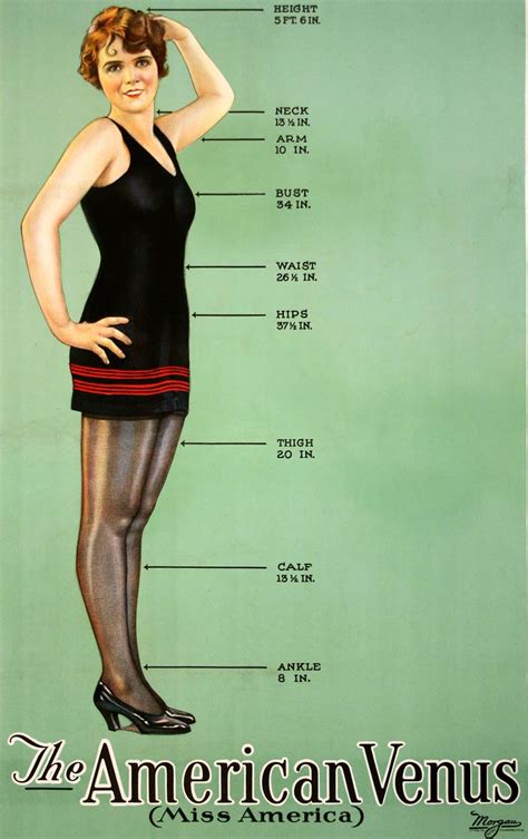 Venus's Body Measurements and Figure