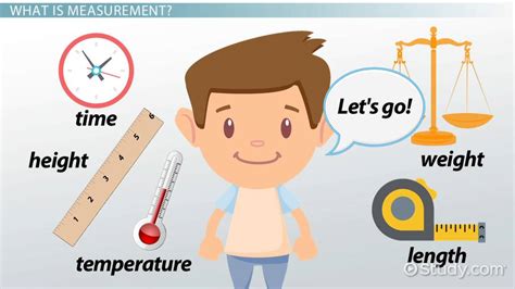 Vertical Measurement: Essential Facts