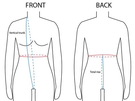 Vertical Measurement of Body