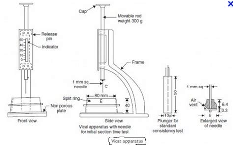 Vicat's Height and Body Measurements