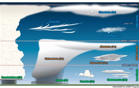 Viivi Clouds: Stature, Physique, and Physical Dimensions