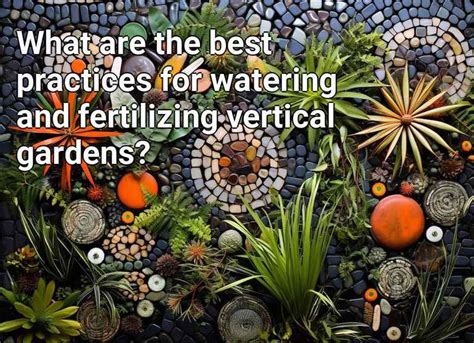 Watering and Fertilizing: Essential Practices for Garden Egg Plants