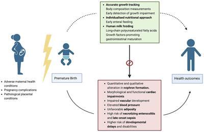 Weighing the Risks: Potential Dangers of Premature Birth