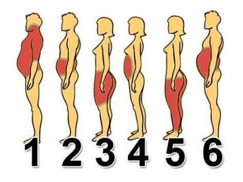 Weight and Body Shape