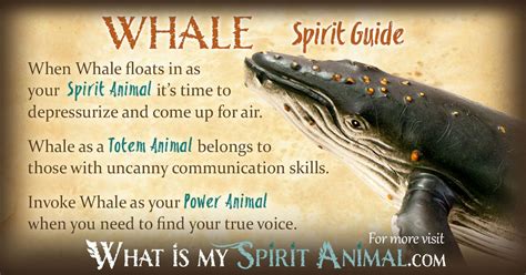 Whales: A Symbol of Power and Strength