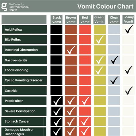 What Causes Vomiting in a Striking Shade of Green?