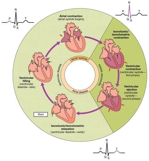 What Does Dreaming of a Cardiac Episode in Different Environments Indicate?