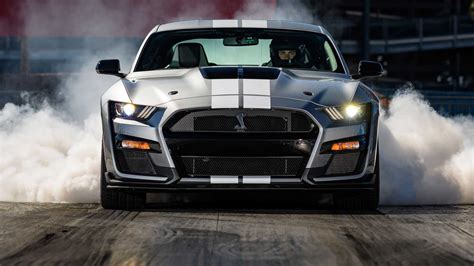 What Drives Shelby: Passion and Goals