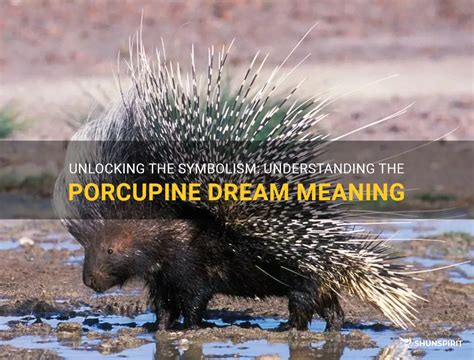 What Porcupines Symbolize in the Realm of Dream Analysis