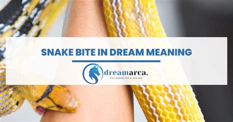 When a Small Snake Bite Represents Betrayal: Analyzing Dream Situations