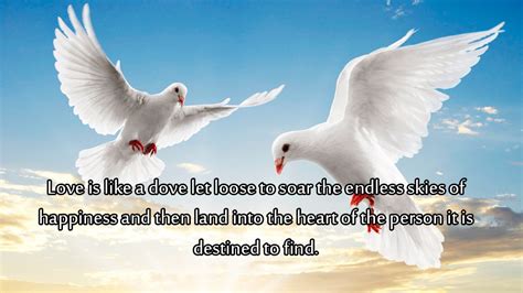 White Doves in Dreams: A Symbol of Hope and Renewal