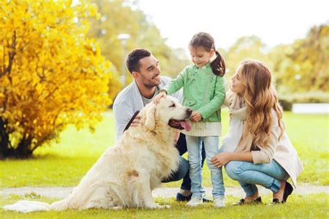 White Puppies and Family Dynamics: The Benefits of Having a Snowy Pet in the Household