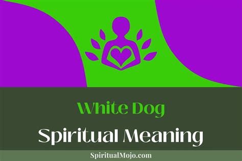 White Tables and Spiritual Significance: Exploring the Mystical Connection