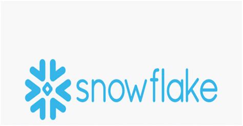 Who is Snowflake: Brief Overview