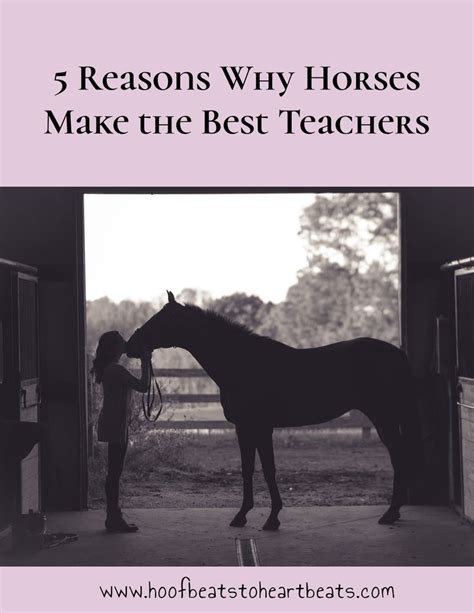 Why Horses Make Great Teachers: Lessons in Patience, Trust, and Responsibility