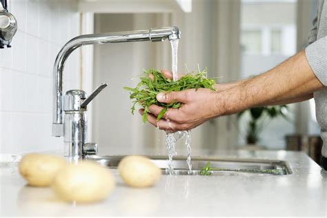 Why Properly Washing Lettuce is Vital for Well-being