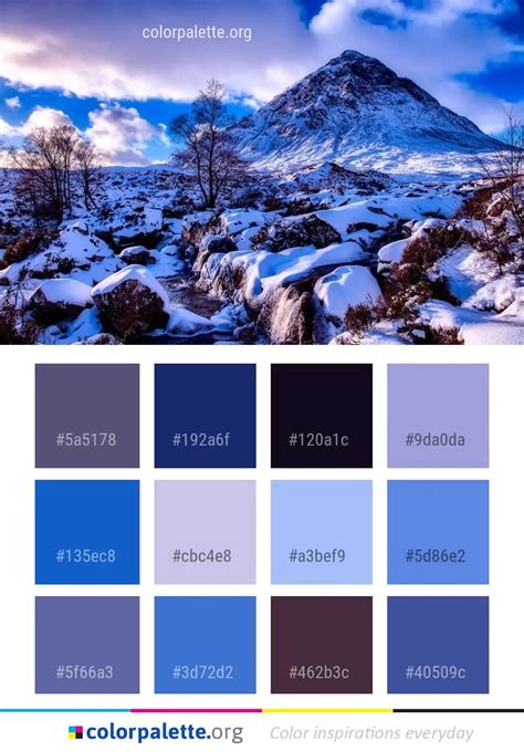 Winter's Palette: Reveling in the Diverse Colors of Snowy Landscapes