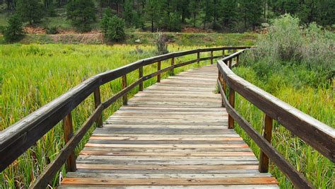 Wooden Bridges as Pathways to Nature's Serenity