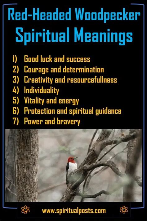 Woodpeckers: Harbingers from the Spirit Realm?