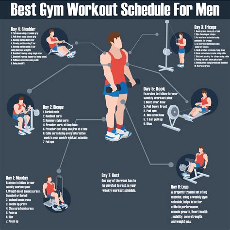 Workout Routine