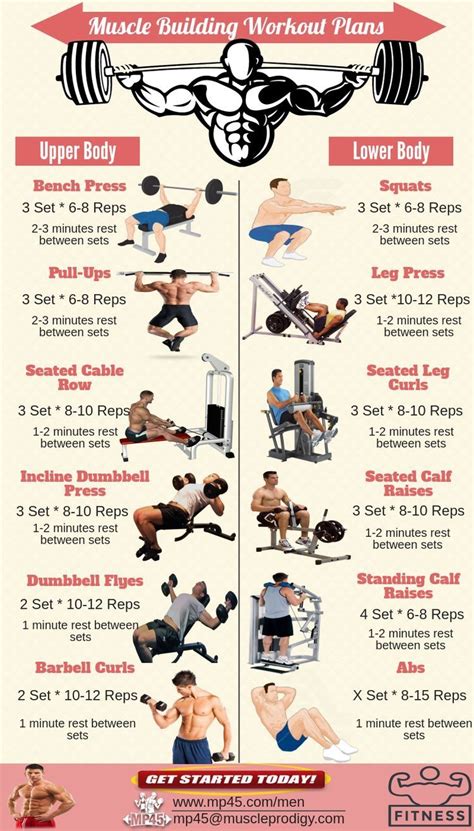 Workout Routine and Fitness Secrets