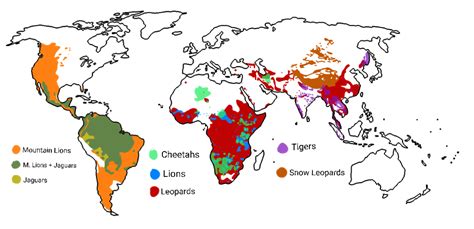 Worldwide Distribution: Where Can Elusive Pardine Felines Be Found?