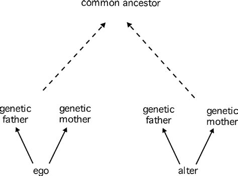 Yearning for Origins: Examining the Path of Seeking Biological Kin