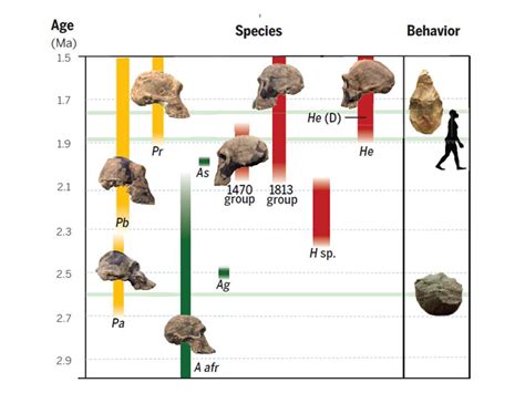 Years, Origins, and Early Days