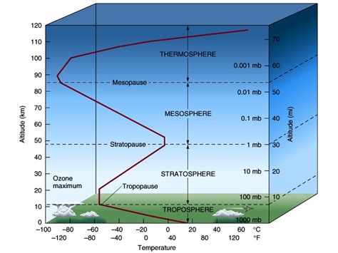 Years on Earth and Vertical Stature