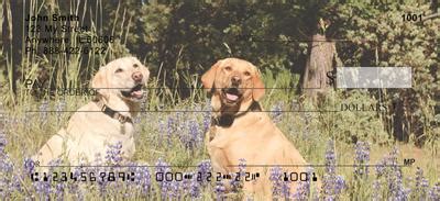 Yellow Labs and Outdoor Activities: Embracing Their Dynamic Spirit